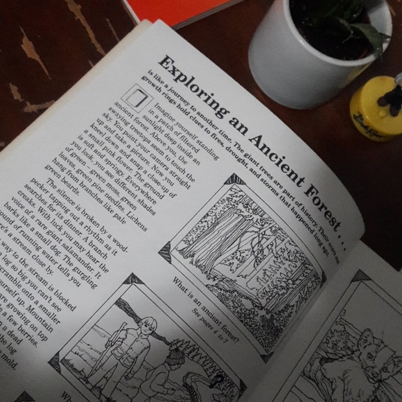 Ancient Forests Workbook by Margaret Anderson | homeschool - Picture 5 of 7